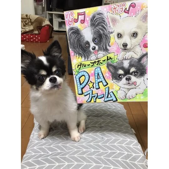画像1463：チワワの保護犬とイラスト