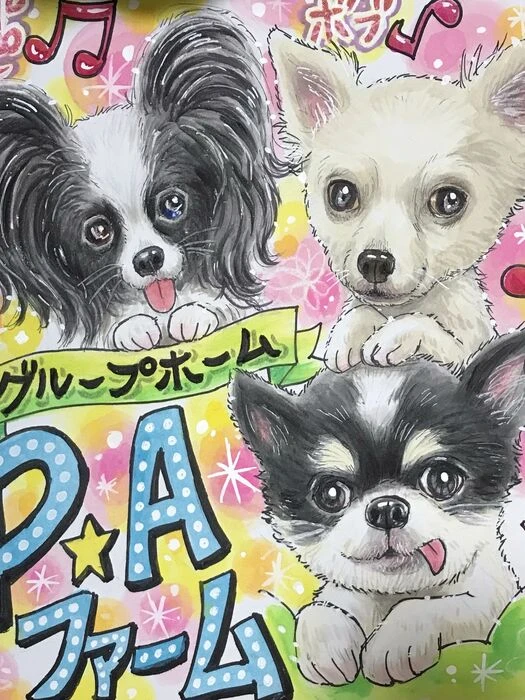画像1466：パピヨンの保護犬
