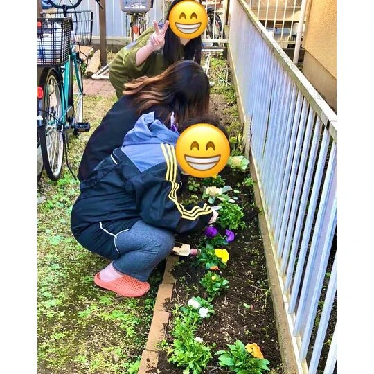 画像1477：花壇の植え替え
