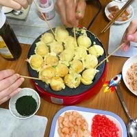 画像1480：パピヨンの保護犬